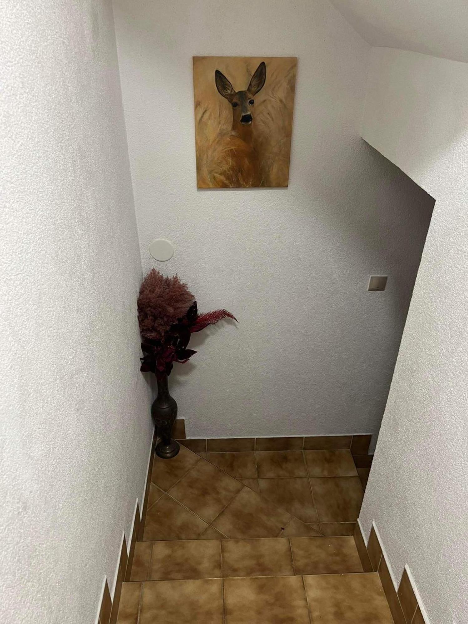 Liptovský Mikuláš Privat Forest מראה חיצוני תמונה